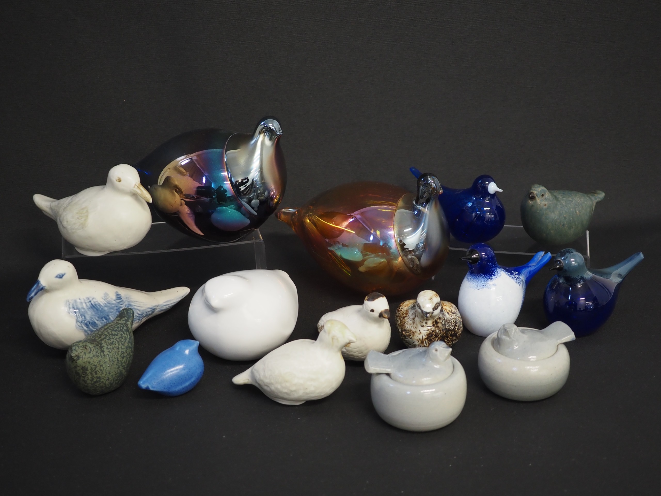 IsoPahkala ym. linnut