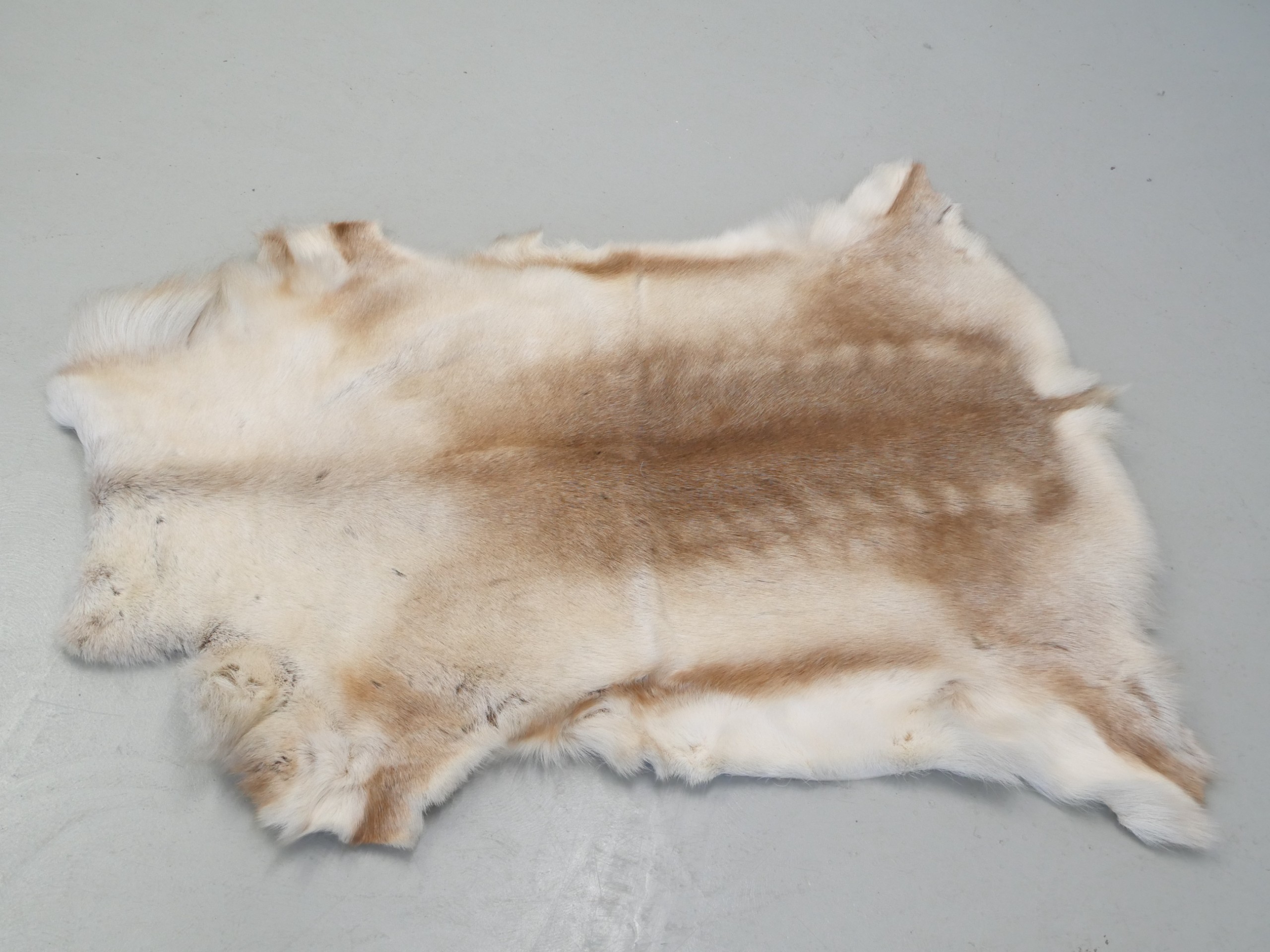 *Talja - Huutokauppa Ekman