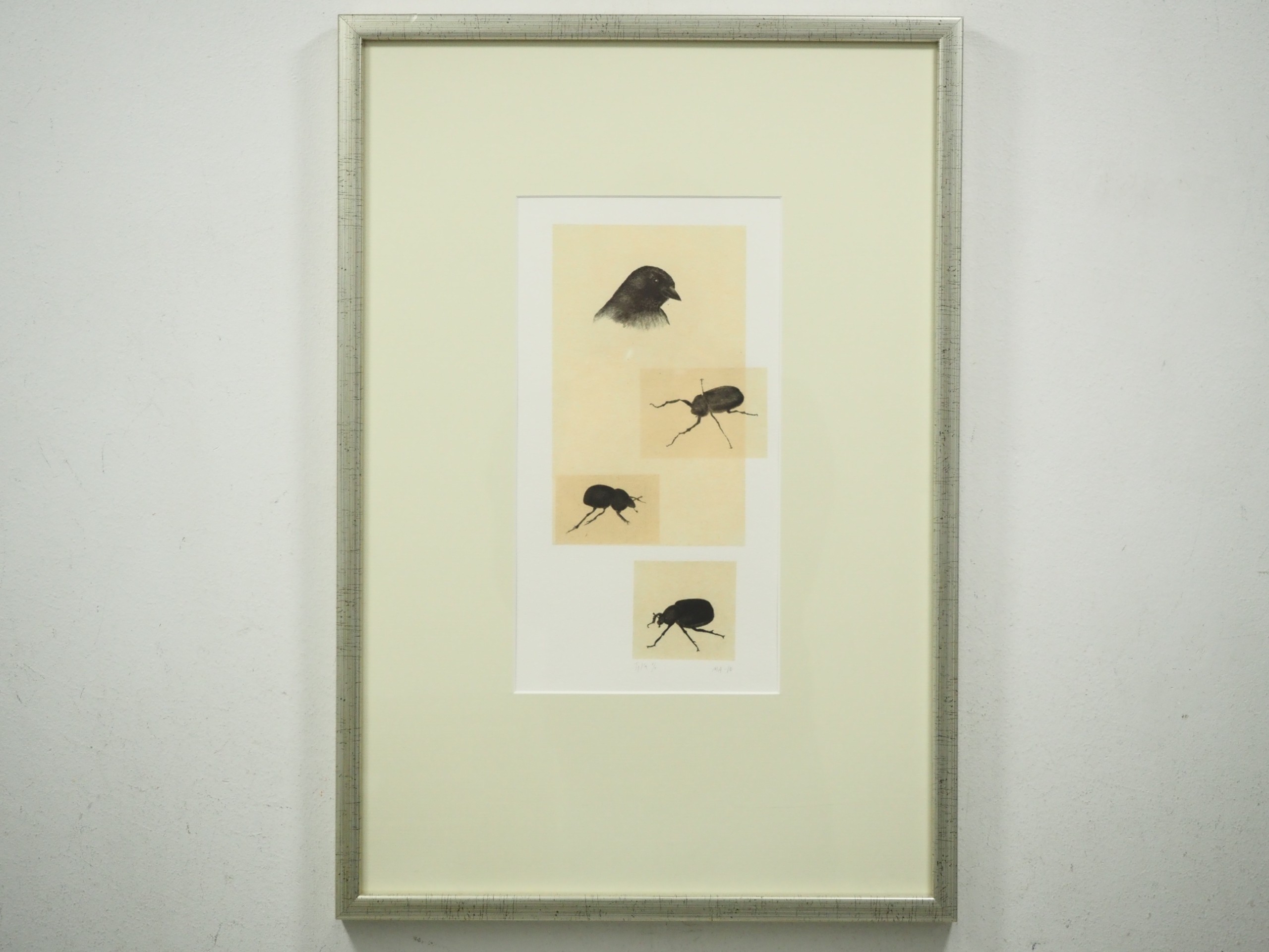 Maija Albrecht - Huutokauppa Ekman