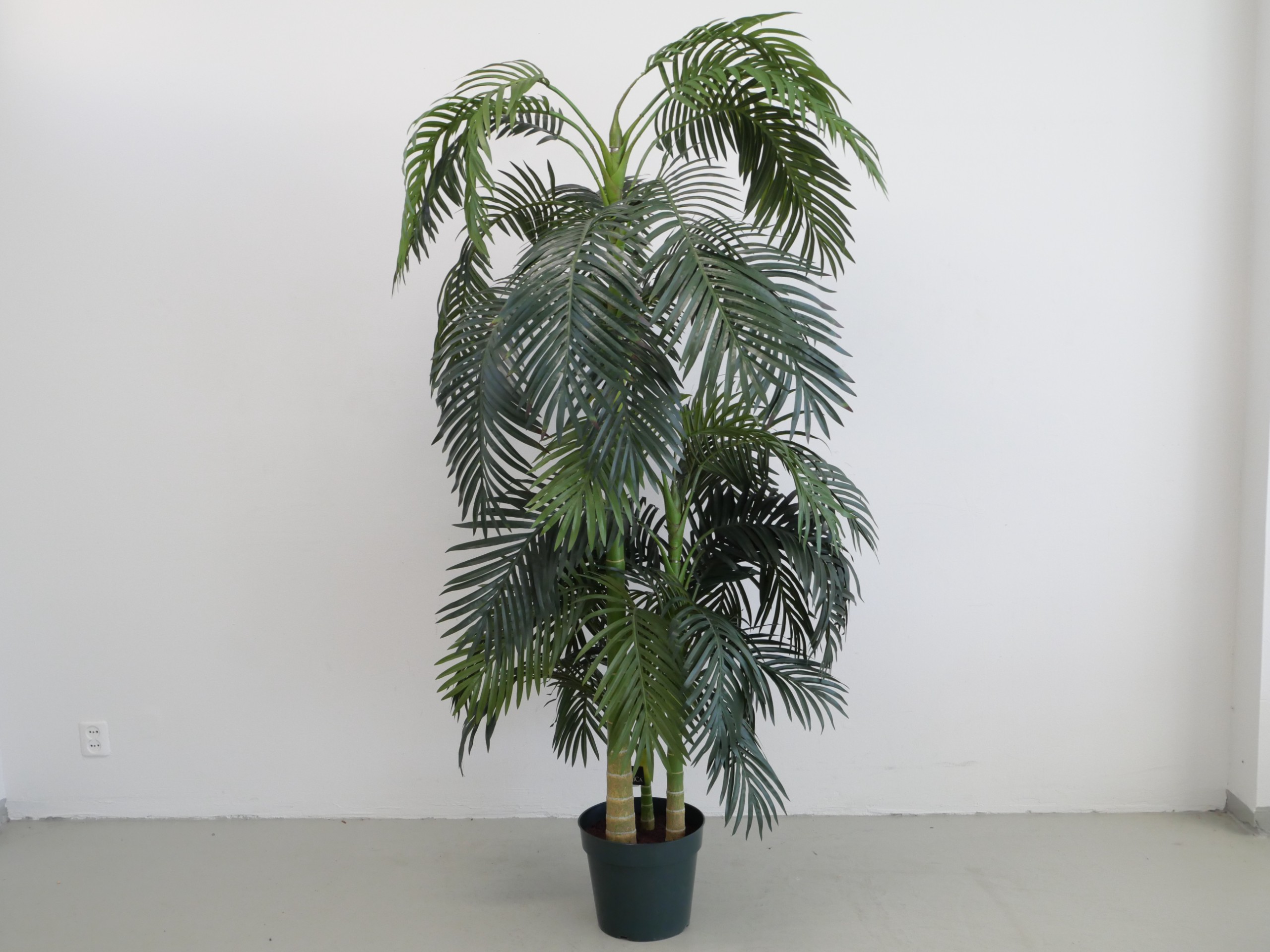 *Tekokasvi - Huutokauppa Ekman