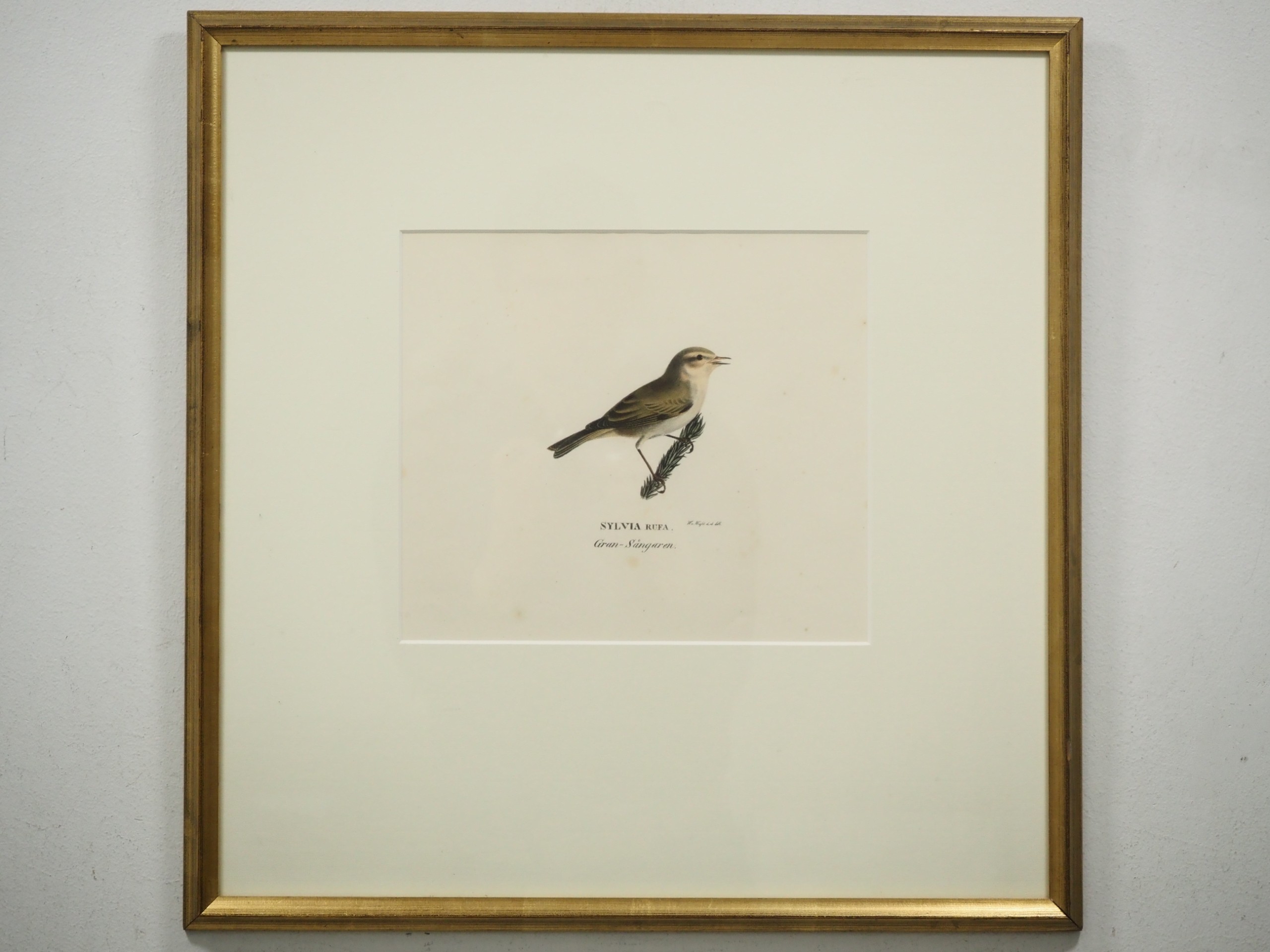 Von Wright - Huutokauppa Ekman