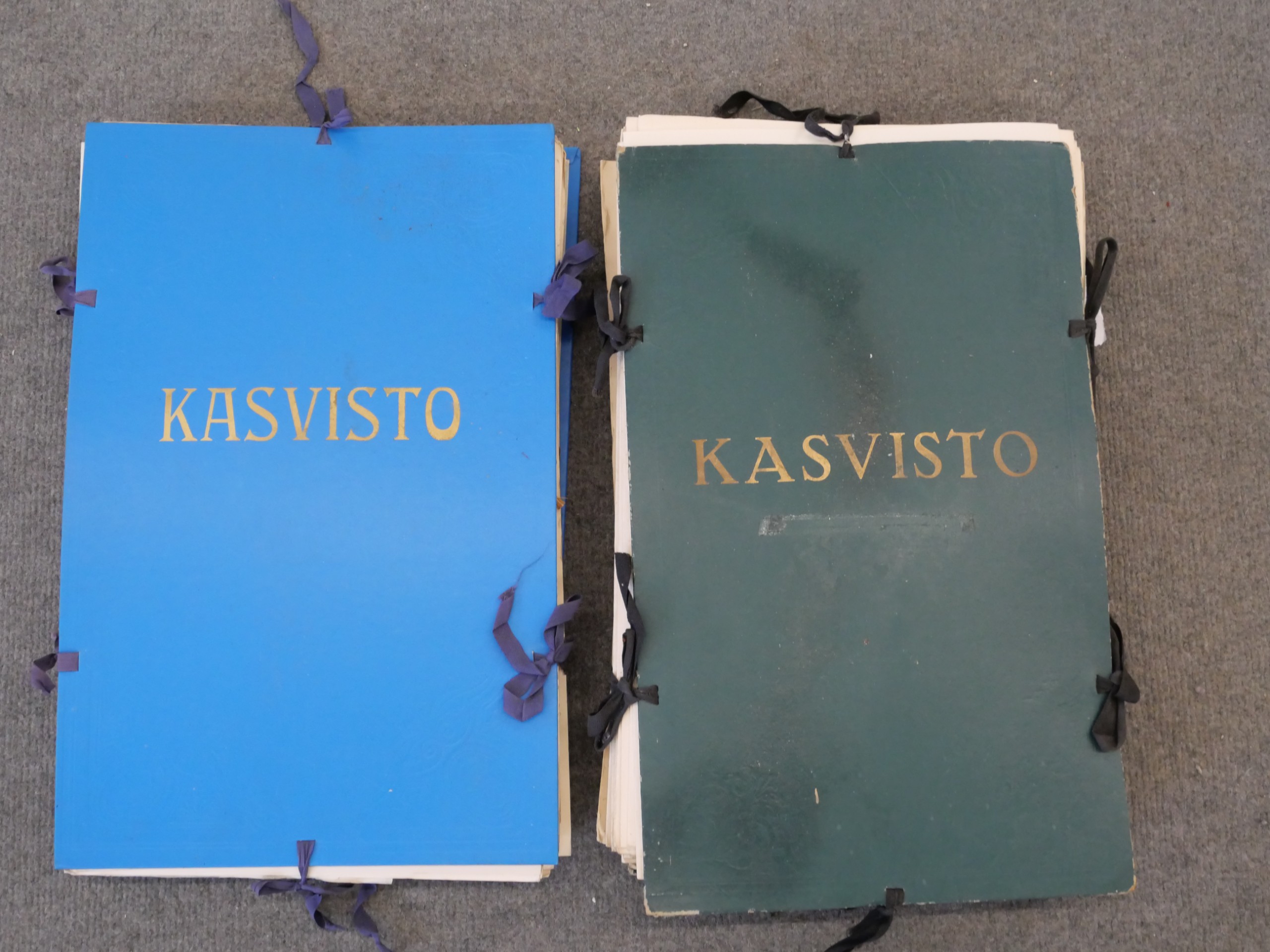 Kasvisto - Huutokauppa Ekman