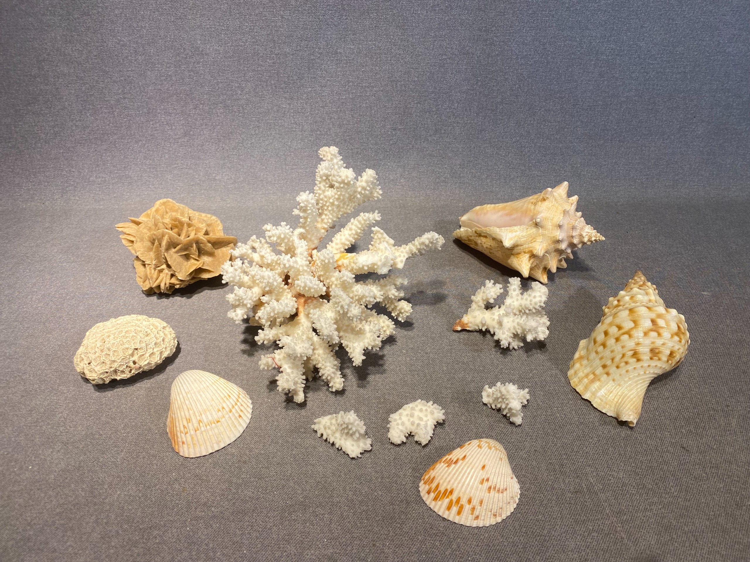 Meriaiheiset koriste-esineet - Huutokauppa Ekman