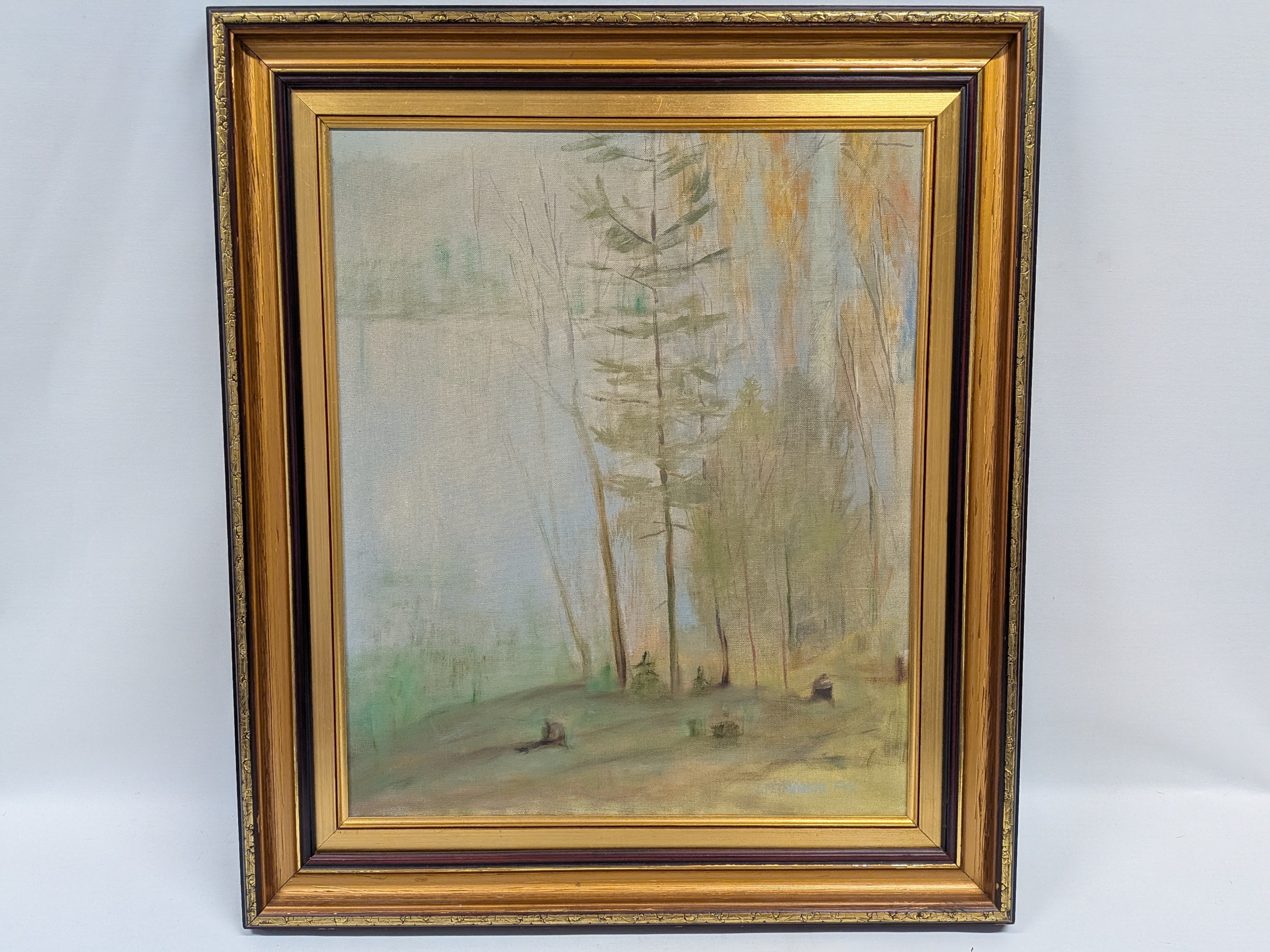 Juhani Petäjäniemi