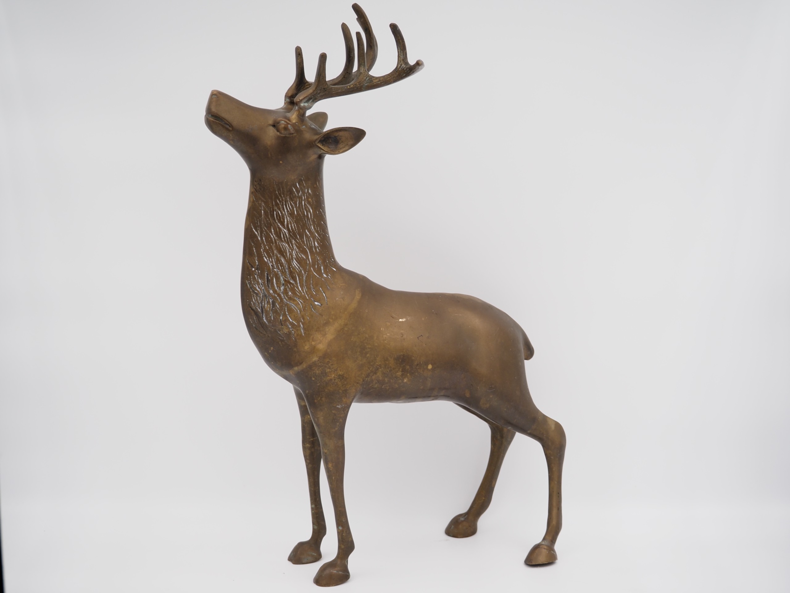 Messinki kauris - Huutokauppa Ekman