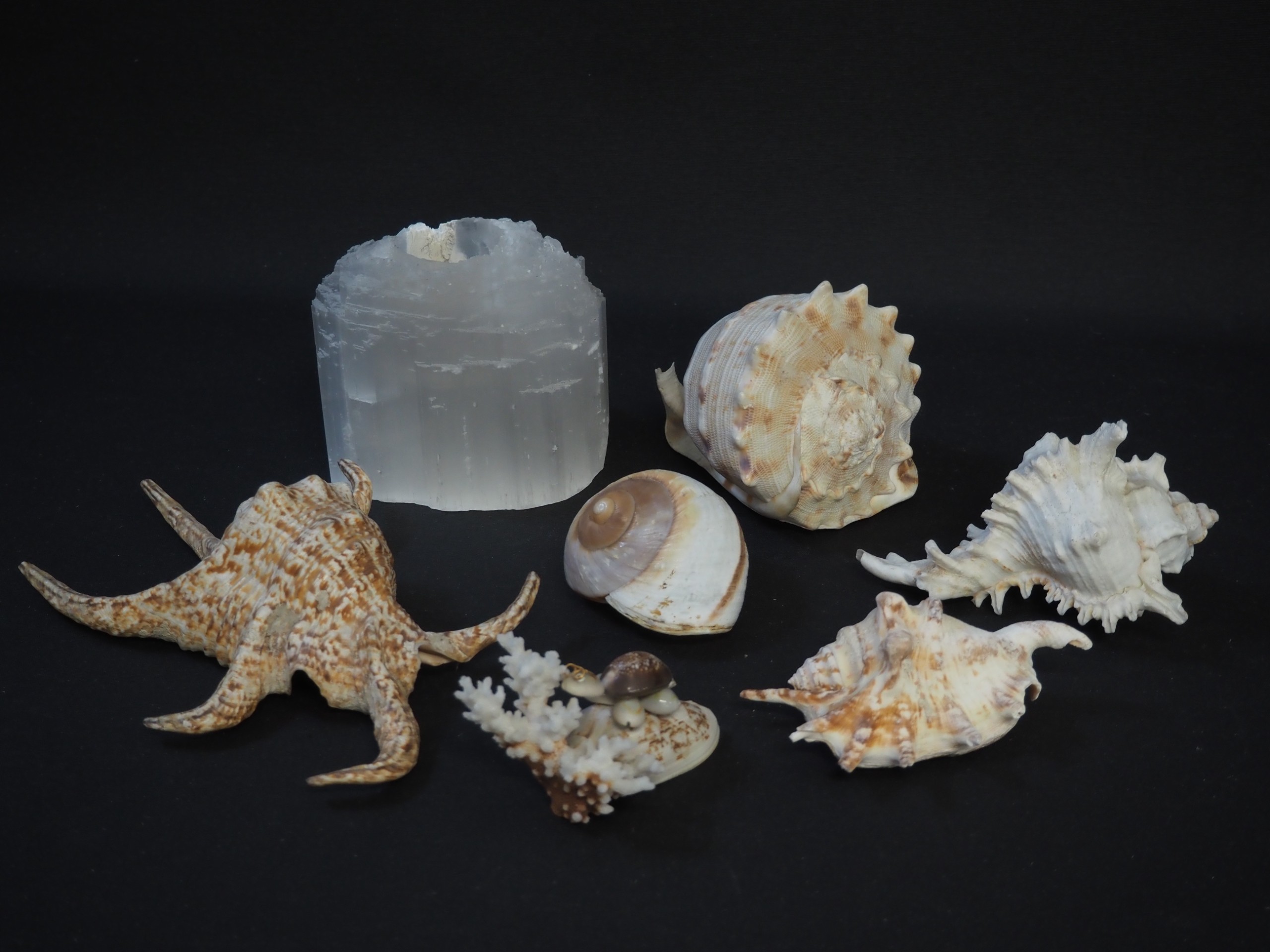 Simpukat ym. - Huutokauppa Ekman