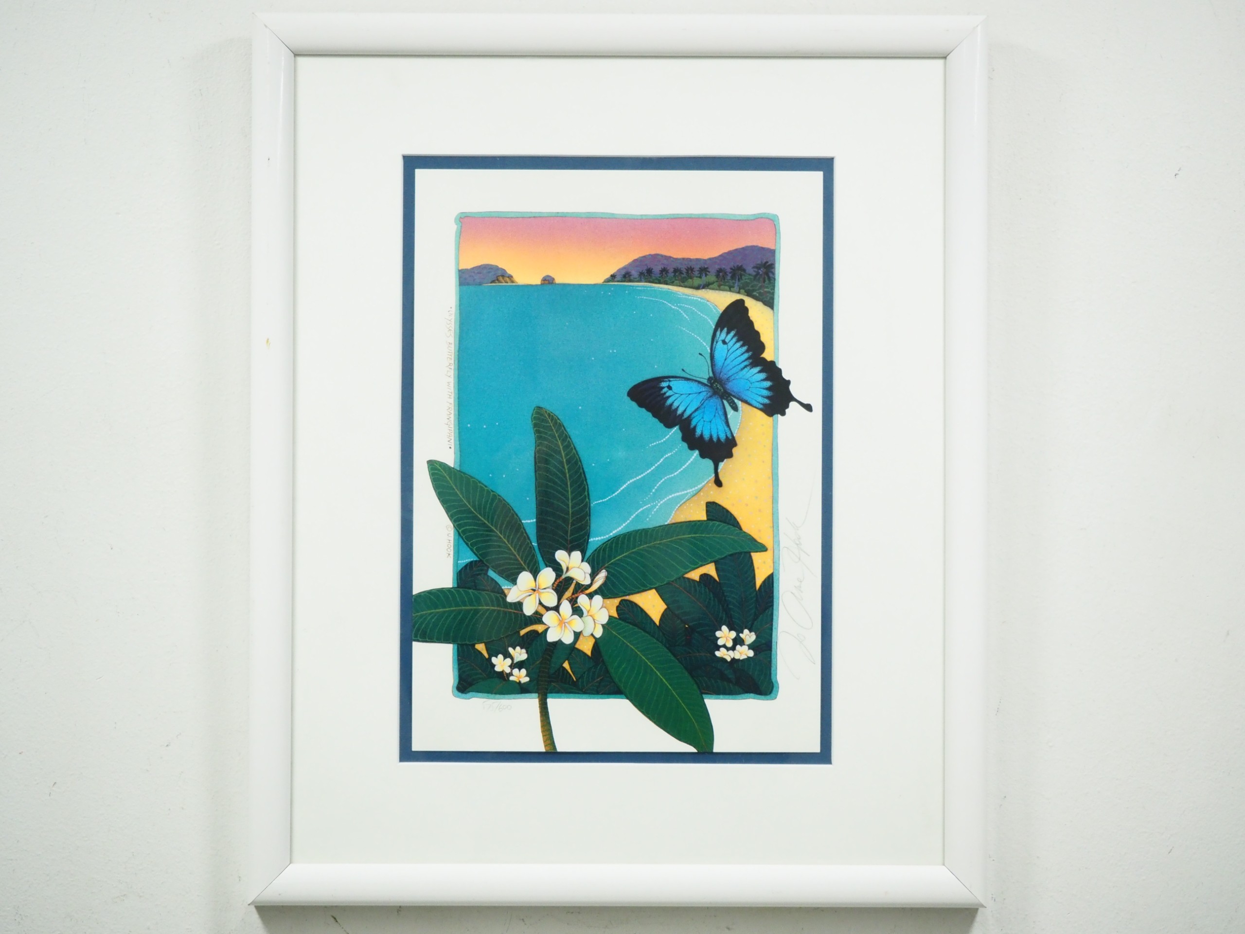 Jo Anne Hook - Huutokauppa Ekman