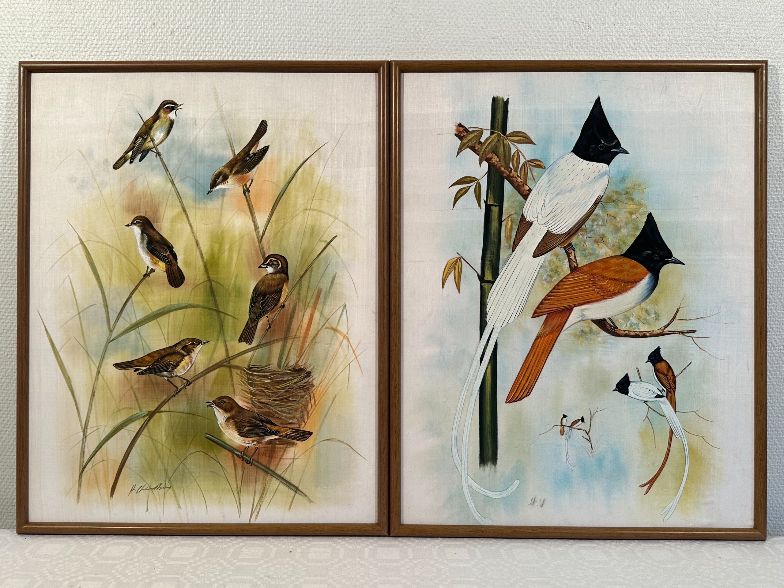 Lintumaalaukset - Huutokauppa Ekman