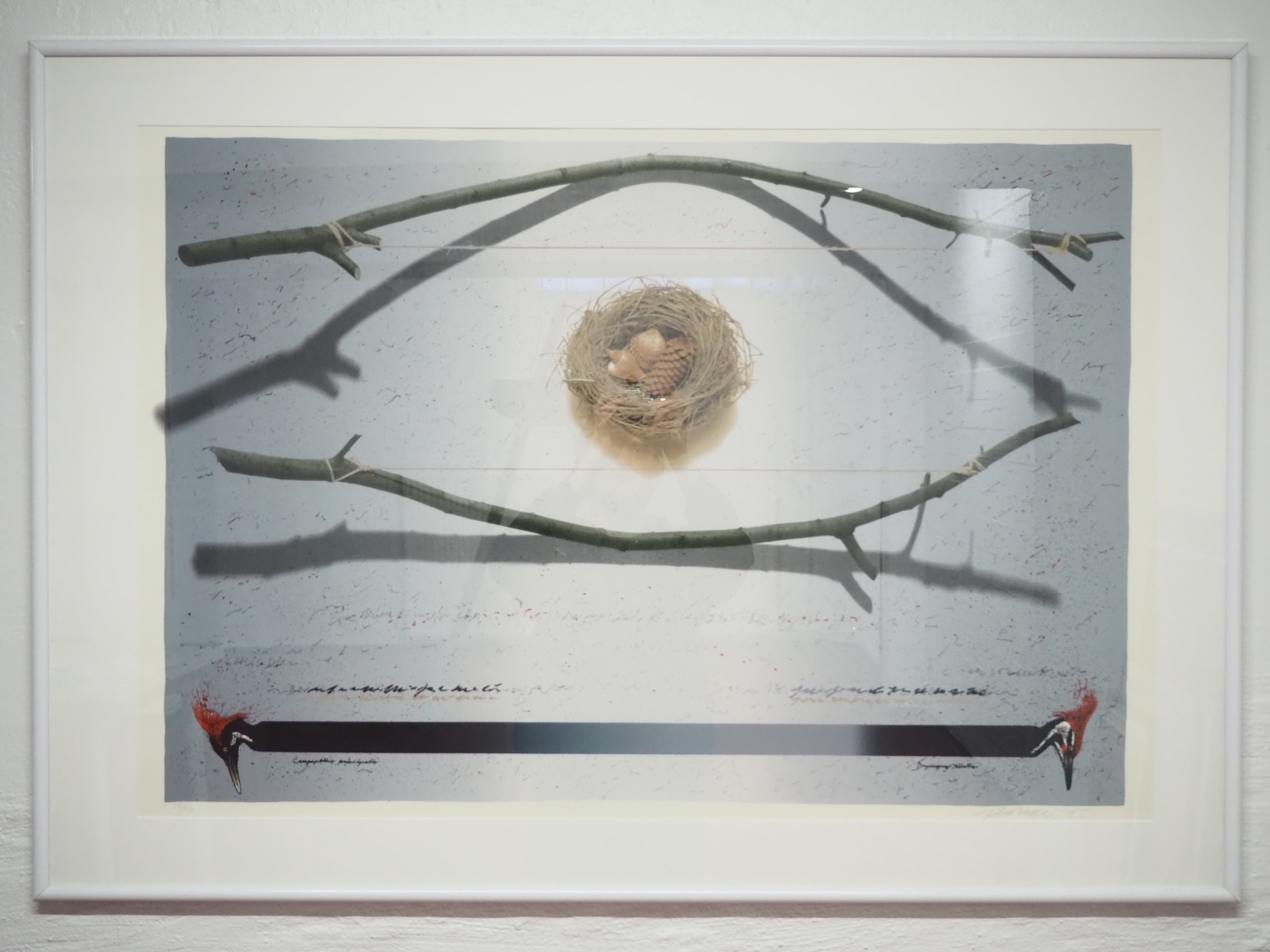 Raimo Kanerva - Huutokauppa Ekman