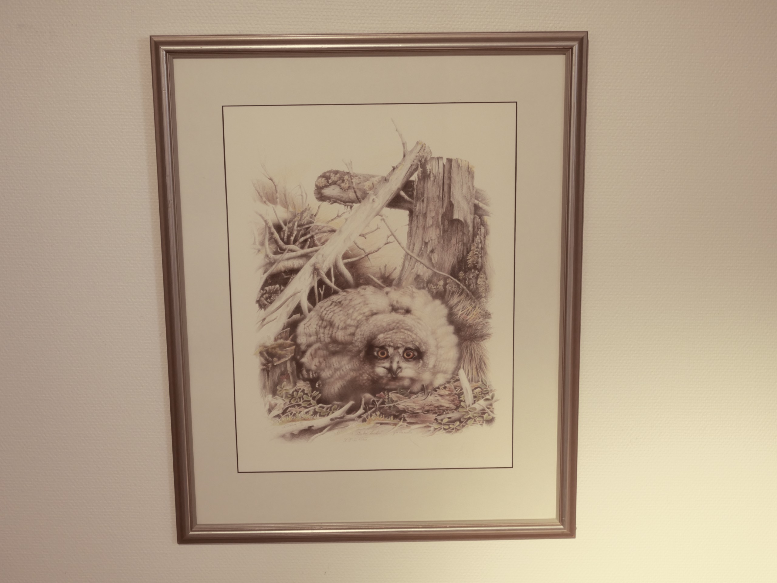 Teppo Terä - Huutokauppa Ekman