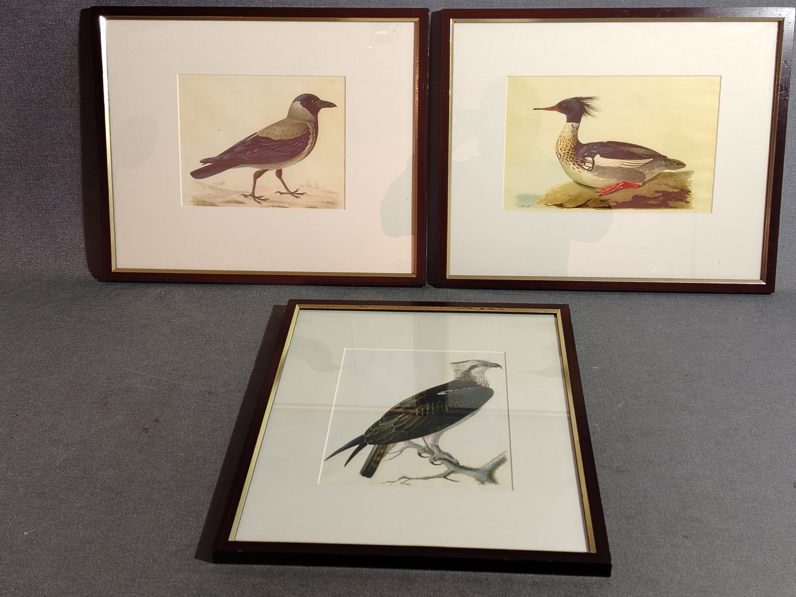 Wright - Huutokauppa Ekman