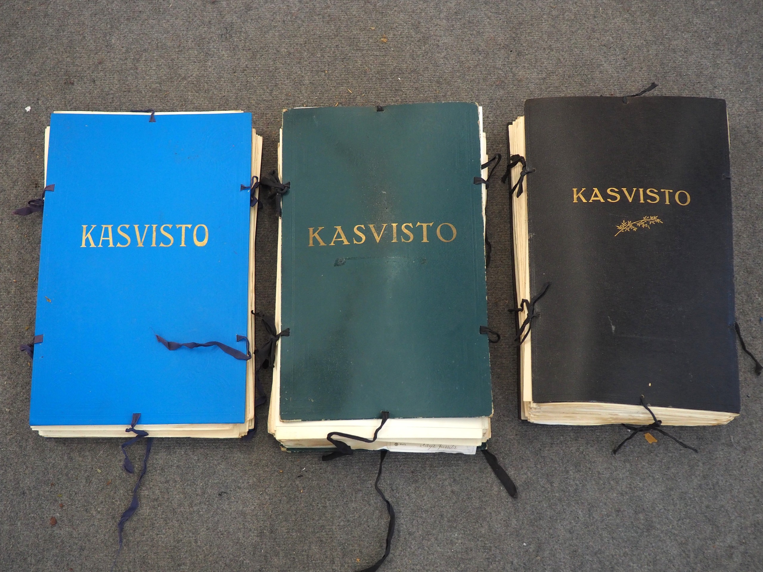 Kasvistot - Huutokauppa Ekman