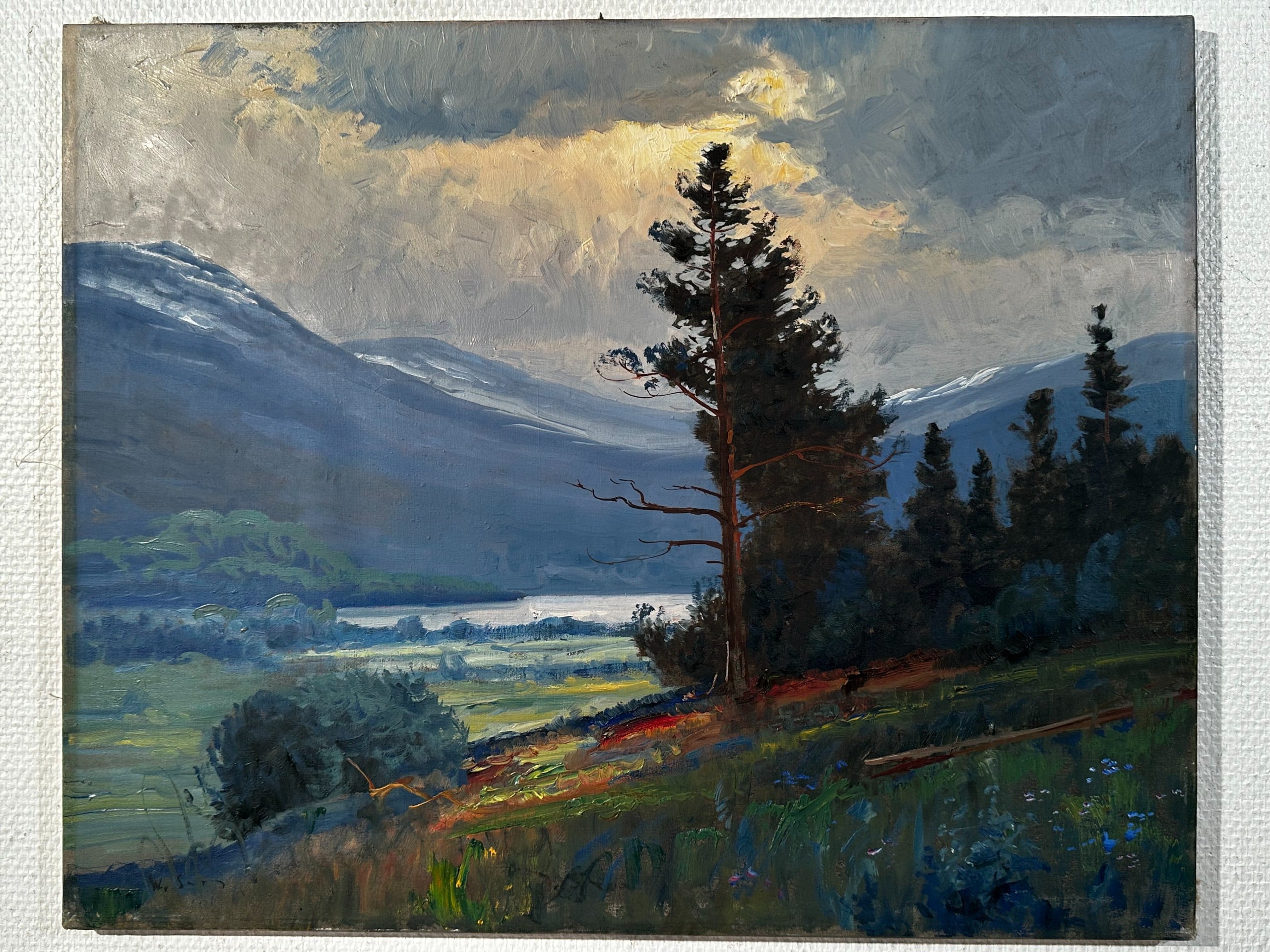 Wille Salonen - Huutokauppa Ekman